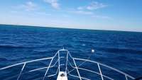 Great day of scuba diving in Key Largo with Rainbow Reef on eagle ray alley tropical adventure 2017 12 11 r5106 1