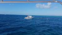 Great day of scuba diving in Key Largo with Rainbow Reef on eagle ray alley tropical legend 2017 12 28 r5191 1