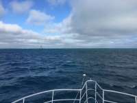 Great day of scuba diving in Key Largo with Rainbow Reef on eagle ray alley tropical legend 2017 12 30 r5209 1