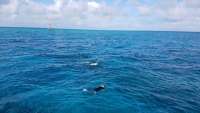 Great day of scuba diving in Key Largo with Rainbow Reef on fire coral cave tropical legend 2017 12 07 r5098 1