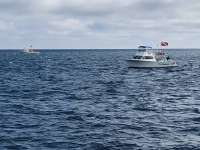Great day of scuba diving in Key Largo with Rainbow Reef on fire coral cave tropical voyager 2017 12 30 r5211 1