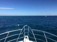 Great day of scuba diving in Key Largo with Rainbow Reef on french reef tropical adventure 2017 12 31 r5229 1