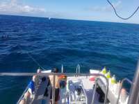 Great day of scuba diving in Key Largo with Rainbow Reef on hole in the wall tropical voyager 2017 12 02 r5060 1