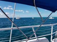 Great day of scuba diving in Key Largo with Rainbow Reef on molasses reef tropical adventure 2017 12 27 r5188 1