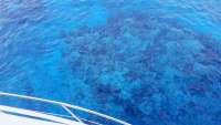 Great day of scuba diving in Key Largo with Rainbow Reef on molasses reef tropical voyager 2017 12 15 r5126 1