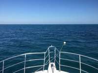 Great day of scuba diving in Key Largo with Rainbow Reef on snapper ledge tropical legend 2017 12 22 r5158 1