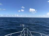 Great day of scuba diving in Key Largo with Rainbow Reef on spiegel grove tropical adventure 2017 12 02 r5063 1