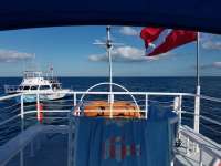 Great day of scuba diving in Key Largo with Rainbow Reef on spiegel grove tropical adventure 2017 12 20 r5151 1