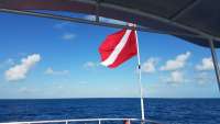 Great day of scuba diving in Key Largo with Rainbow Reef on spiegel grove tropical odyssey 2017 12 06 r5089 1