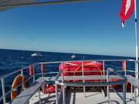 Great day of scuba diving in Key Largo with Rainbow Reef on spiegel grove tropical odyssey 2017 12 19 r5146 1