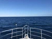 Great day of scuba diving in Key Largo with Rainbow Reef on spiegel grove tropical odyssey 2017 12 29 r5203 1
