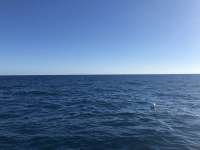 Great day of scuba diving in Key Largo with Rainbow Reef on spiegel grove tropical voyager 2017 12 23 r5166 1