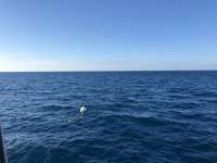Great day of scuba diving in Key Largo with Rainbow Reef on spiegel grove tropical voyager 2017 12 30 r5221 1