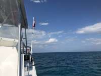 Great day of scuba diving in Key Largo with Rainbow Reef on christ statue tropical odyssey 2017 02 19 r3884 3