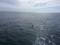 Great day of scuba diving in Key Largo with Rainbow Reef on fire coral cave tropical adventure 2017 02 02 r3801 1