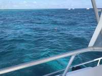 Great day of scuba diving in Key Largo with Rainbow Reef on fire coral cave tropical odyssey 2017 02 06 r3821 1