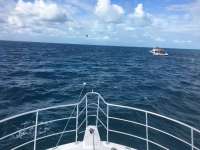 Great day of scuba diving in Key Largo with Rainbow Reef on molasses reef tropical legend 2017 02 23 r3897 1