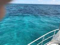 Great day of scuba diving in Key Largo with Rainbow Reef on pillar coral tropical legend 2017 02 03 r3807 1