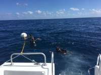 Great day of scuba diving in Key Largo with Rainbow Reef on spiegel grove tropical explorer 2017 02 12 r3849 1