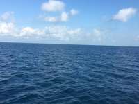Great day of scuba diving in Key Largo with Rainbow Reef on spiegel grove tropical odyssey 2017 02 09 r3832 1