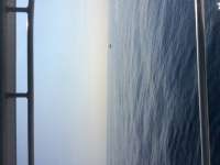 Great day of scuba diving in Key Largo with Rainbow Reef on spiegel grove tropical odyssey 2017 02 18 r3875 1