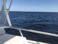 Great day of scuba diving in Key Largo with Rainbow Reef on uscgc duane tropical odyssey 2017 02 13 r3853 1