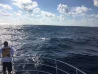 Great day of scuba diving in Key Largo with Rainbow Reef on uscgc duane tropical odyssey 2017 02 27 r3915 1