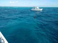 Great day of scuba diving in Key Largo with Rainbow Reef on winch hole tropical legend 2017 02 07 r3824 1