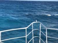 Great day of scuba diving in Key Largo with Rainbow Reef on eagle ray alley tropical odyssey 2017 01 12 r3723 1