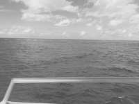 Great day of scuba diving in Key Largo with Rainbow Reef on eagle ray alley tropical odyssey 2017 01 16 r3740 1