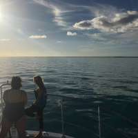 Great day of scuba diving in Key Largo with Rainbow Reef on elbow reef tropical odyssey 2017 01 18 r3749 1