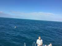 Great day of scuba diving in Key Largo with Rainbow Reef on french reef tropical voyager 2017 01 15 r3735 1