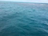 Great day of scuba diving in Key Largo with Rainbow Reef on grecian rocks tropical adventure 2017 01 14 r3733 1