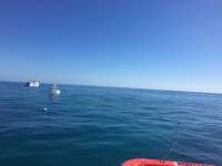 Great day of scuba diving in Key Largo with Rainbow Reef on molasses reef tropical legend 2017 01 25 r3767 1
