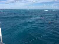 Great day of scuba diving in Key Largo with Rainbow Reef on molasses reef tropical odyssey 2017 01 16 r3739 1