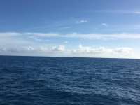 Great day of scuba diving in Key Largo with Rainbow Reef on molasses reef tropical odyssey 2017 01 18 r3746 1