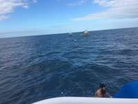 Great day of scuba diving in Key Largo with Rainbow Reef on spiegel grove tropical adventure 2017 01 15 r3736 2