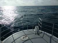 Great day of scuba diving in Key Largo with Rainbow Reef on spiegel grove tropical odyssey 2017 01 03 r3698 1