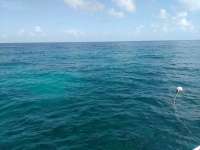 Great day of scuba diving in Key Largo with Rainbow Reef on conch pillars tropical legend 2017 07 25 r4539 1