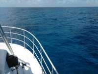 Great day of scuba diving in Key Largo with Rainbow Reef on drift french tropical legend 2017 07 26 r4545 1
