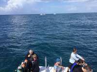 Great day of scuba diving in Key Largo with Rainbow Reef on drift french tropical voyager 2017 07 02 r4422 1