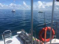 Great day of scuba diving in Key Largo with Rainbow Reef on drift french tropical voyager 2017 07 16 r4503 1