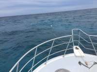Great day of scuba diving in Key Largo with Rainbow Reef on eagle ray alley tropical adventure 2017 07 10 r4475 1