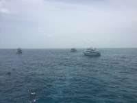 Great day of scuba diving in Key Largo with Rainbow Reef on eagle ray alley tropical voyager 2017 07 22 r4527 1