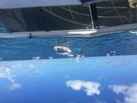 Great day of scuba diving in Key Largo with Rainbow Reef on french reef tropical adventure 2017 07 29 r4561 1