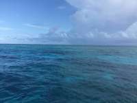 Great day of scuba diving in Key Largo with Rainbow Reef on french reef tropical legend 2017 07 11 r4476 1