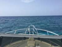 Great day of scuba diving in Key Largo with Rainbow Reef on molasses reef tropical adventure 2017 07 21 r4522 1