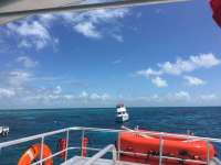 Great day of scuba diving in Key Largo with Rainbow Reef on molasses reef tropical legend 2017 07 03 r4429 1