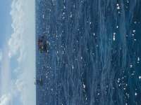 Great day of scuba diving in Key Largo with Rainbow Reef on molasses reef tropical voyager 2017 07 01 r4418 1