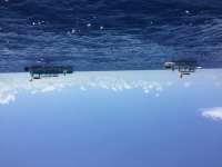 Great day of scuba diving in Key Largo with Rainbow Reef on spiegel grove tropical explorer 2017 07 08 r4462 1